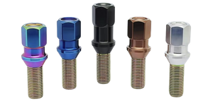 不锈钢外观锻造螺栓